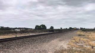 1AM8 The Overland with NR51 and 10 vehicles near Keith, Sunday 7th April.