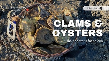 The tide waits for no one. #shellfishing #clams #oysters #barnstableharbor