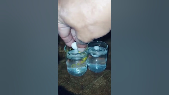 How to check for fertile and infertile egg