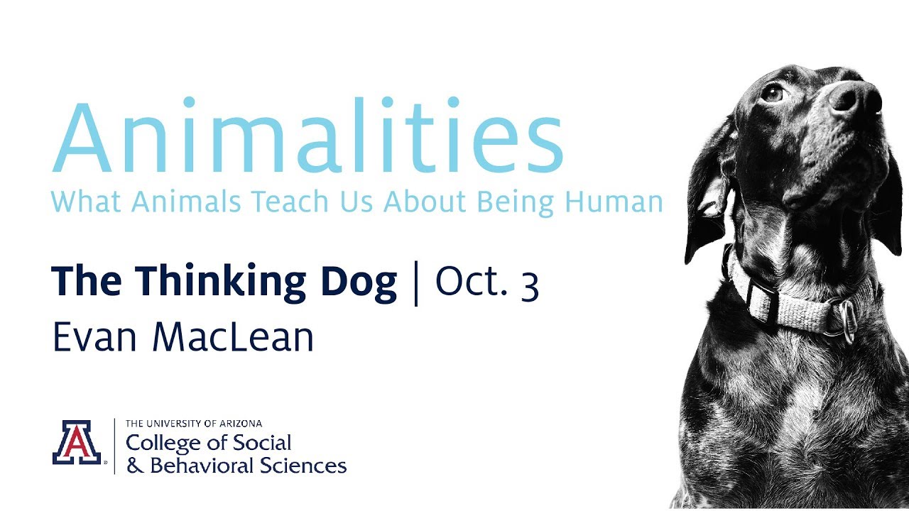 Animalities: The Thinking Dog