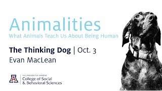 Download lagu Animalities: The Thinking Dog