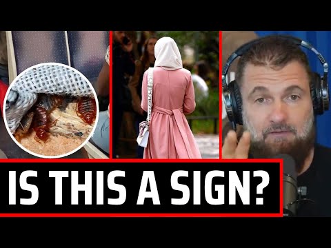 France Encounters Bed Bug Attack (After banning what Muslim women wear)