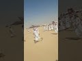 قبيلة الخنافر من قحطان اثنا وصولهم مقر حفل قحطان ضد قطر 