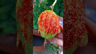 Spicy & Tasty Mango Pickle 🥭🥵|| #shorts #food #spicy #mango #pickle #recipe #daliyvlog #lifestyle