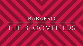 Babaero - The Bloomfields (Solo Guitar Backing Track)