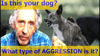 The Different Types of Dog Aggression