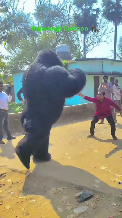 gorila dance 🦍(c.n-7328890122) marriage programa, bhasani,ringserimoni, birthday, party 🥳 🎉#shorts