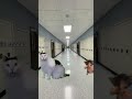 Mr.Cat trying to impress his crush #automobile #cat #catstory #memes#pov #Mrcat#stories #part1#kitty