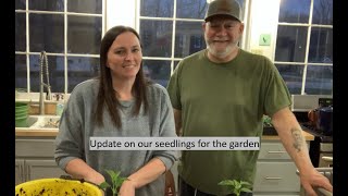 Uppotting Seedlings and Garden Chat!