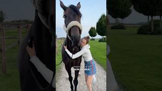 Der Perfekte Ernährungszustand Vom Pferd Erkennen? Werbung