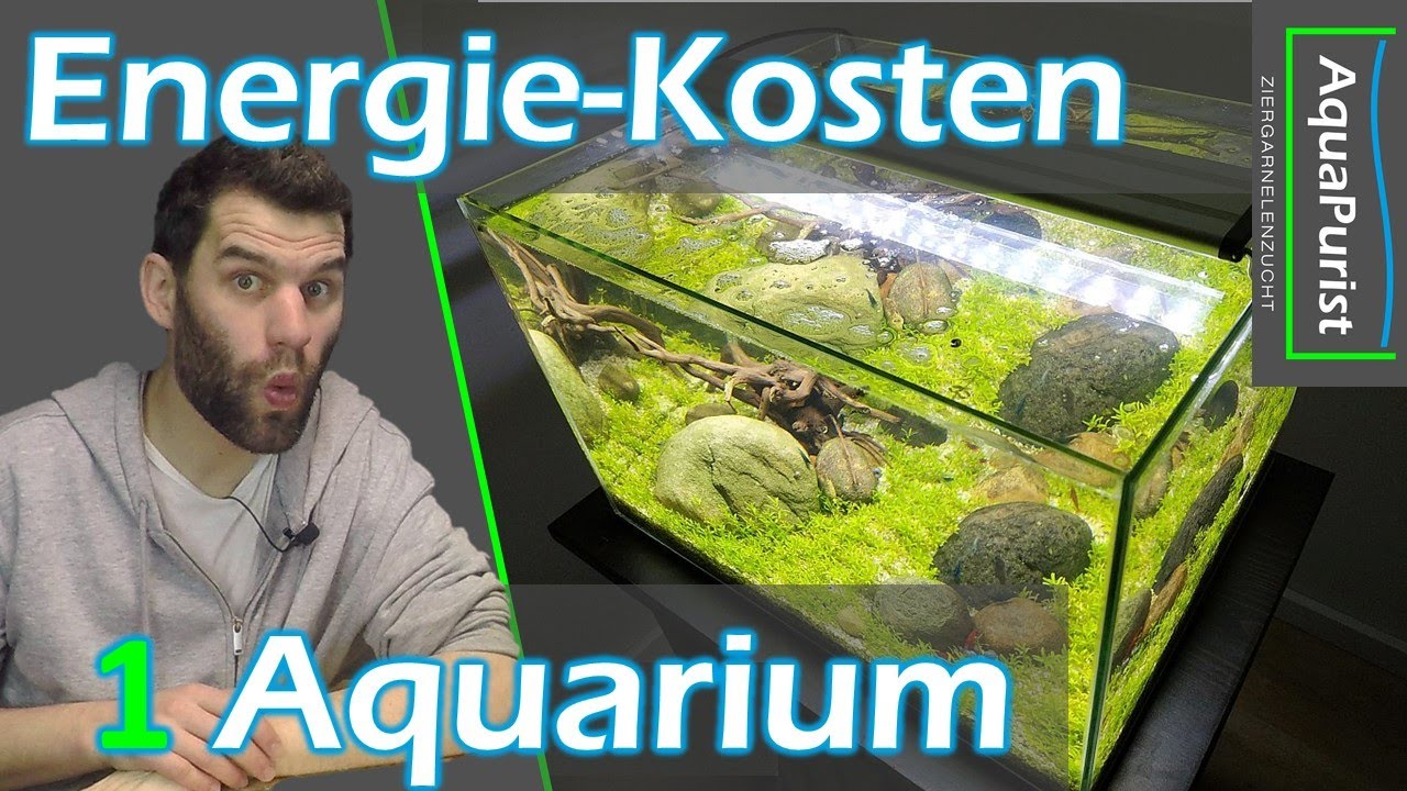 Laufende EnergieKosten für 1 Aquarium Mit wie viel € Stromkosten