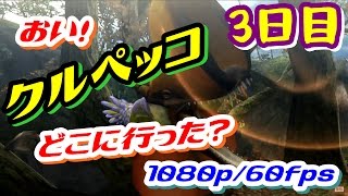 #3【MHP3】HD Ver.【モンハン3】え？今さら？とかは言わないで！【初見プレイ】