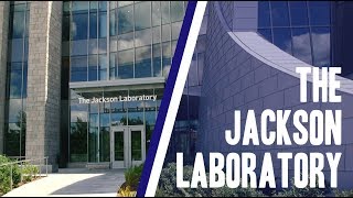 The Jackson Laboratory