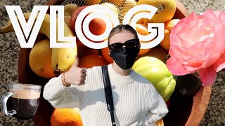 VLOG: Back In NYC, Grocery Haul, + Baking! | G HANNELIUS
