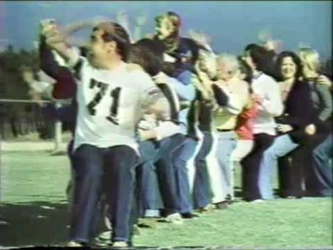 アメリカンファミリー生命保険　CM