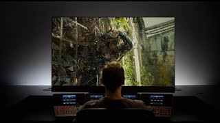 Panasonic 2019 Oled -The Choice Of Filmmakers. And Film Lovers.