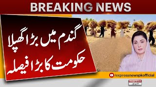 wheat Price In pakistan | Big Decision of the govt | Latest News | Breaking News