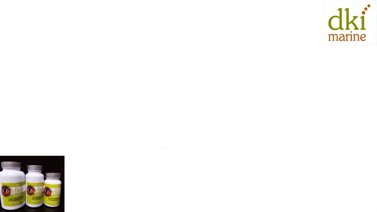 Easy Reef DKI Maine Pellet Fish Food @PetzLifeworld