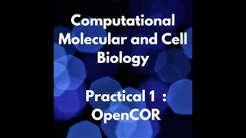 OpenCOR Basic Tutorial