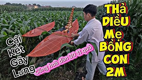Diều sáo | Thả diều 2m mẹ bồng con Cõng D30 11 quả hoà đàn và cái kết phải trả giá