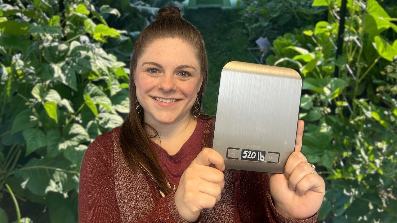 I Tried to Grow 650 lbs of Food in a Small Yard — Here’s What Happened