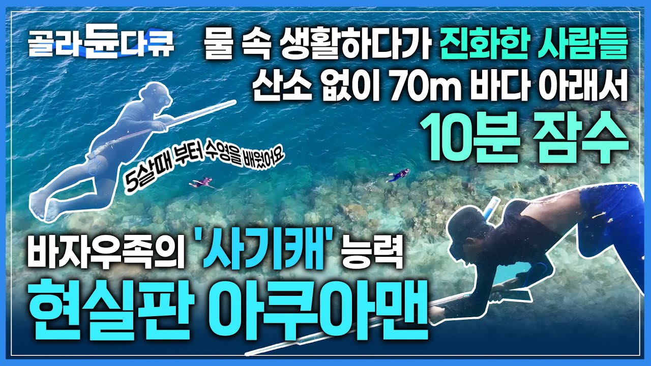 천 년 잠수 생활로 유전자가 진화했다🧜🏻‍♀️🧜🏼 전 세계 생물학자들도 깜짝 놀란 '잠수 천재'ㅣ깊은 물속에서 10분 넘게 ...
