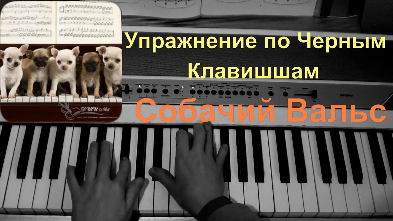 Собачий вальс картинка на пианино