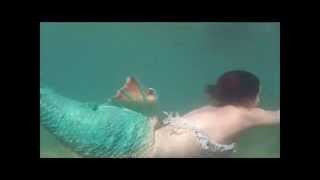 The plastic sea monster