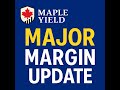 TFSA + Margin = Income Machine? My New Investing Strategy