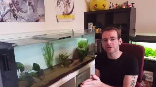 TUTO ANIMO : mon bac à axolotls