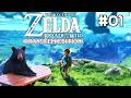 Zelda Breath of the Wild: Transfem Edition \ʕ ^ᴥ^ʔ/