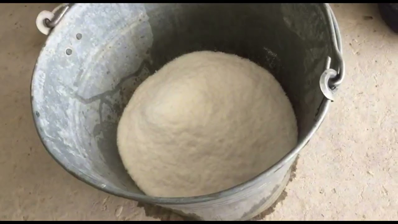 qulpnaylarga oziqa berish jarayoni