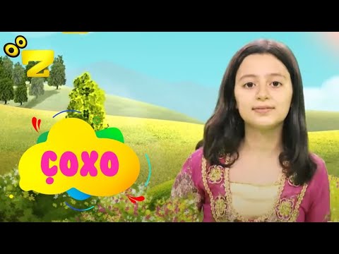 Zarok TV - ÇOXO زارۆک تی ڤی / چۆخۆ