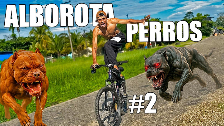 Alborota Perros En Cicla 🐶 *Me Mordieron* - Andrés WG