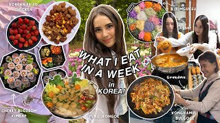 what i eat in a week at my Korean grandma’s house in Busan 🌸 authentic Korean food & cherry blossoms by Alexandra Olesen 955,385 views 11 months ago 39 minutes