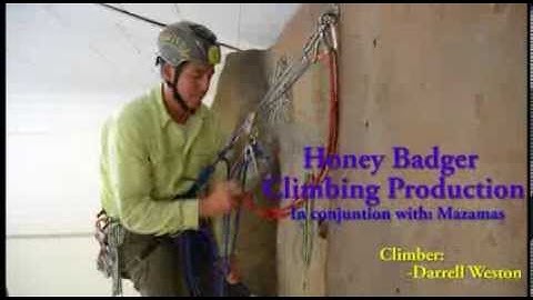 Defeating a Plaquette using a Purcell Prusik