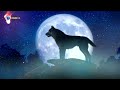 Svanja Barsik Divitsja Suki Oberezhno 2025 World Music Disco Conveyor 2025 WMDC N1 