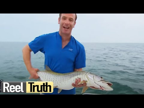 Robson's Extreme Fishing Challenge | US, Great Lakes | S01 E02 | Reel Truth Documentaries