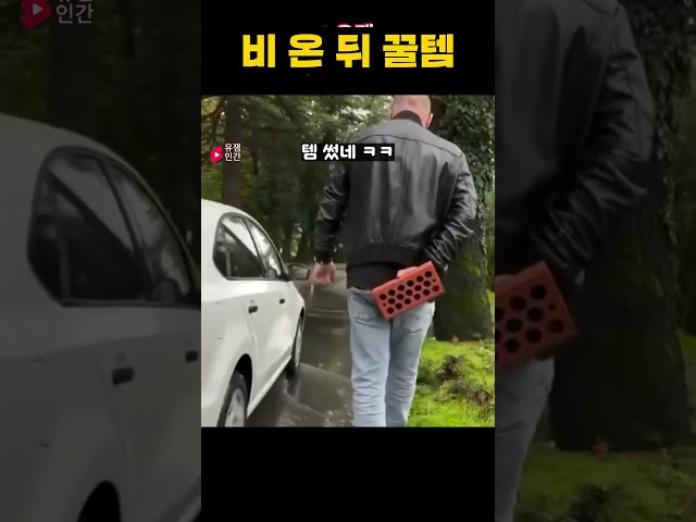 비 온 뒤 꿀템