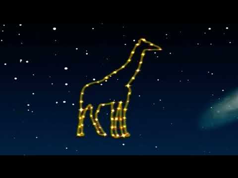 Magic Lantern Baby Tv Animal Constellation S