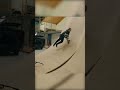 Session mit Tim Knopf! #skatepark #mtb #dirtjump #rosebikes