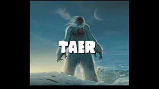 Dungeons and Dragons Lore: Taer
