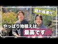 りょうたのオージーガーデンが、カッコよくなり過ぎてしまいました…【オージープランツ】