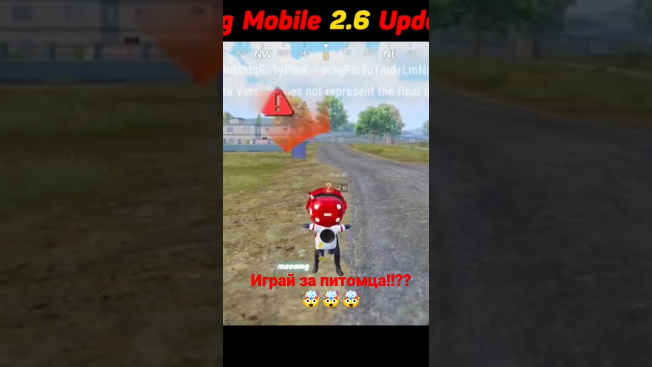 PUBG MOBILE 2.6 МОЖНО ИГРАТЬ ЗА ПИТОМЦА🤯