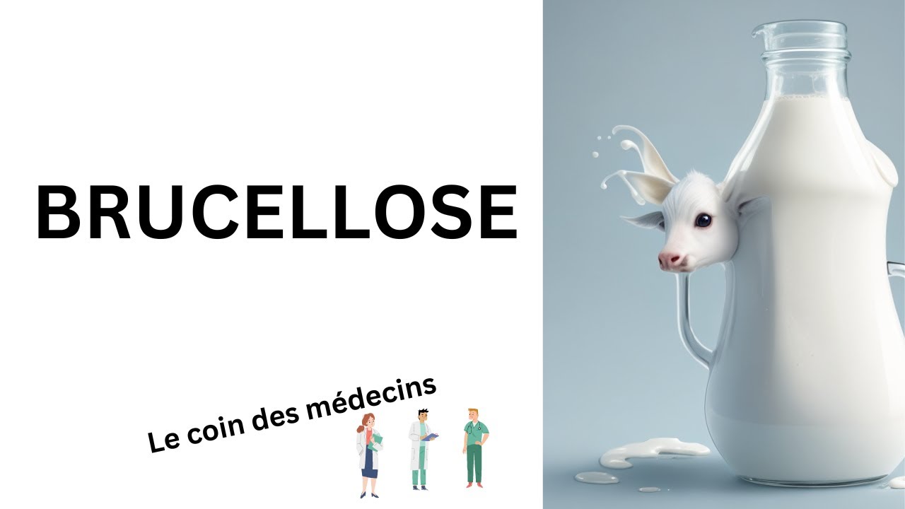 BRUCELLOSE