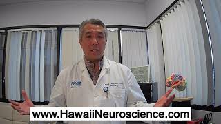Famous What Caused Narcolepsy? How is Narcolepsy Treated? Kore Liow, MD - PLEASE SHARE Net Worth