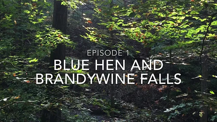Turinsky Travels Episode 1: Blue Hen Falls and Bra...