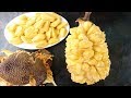 Amazing Jackfruit Cutting Skills || Amazing Way To Open a Big Jackfruit || How To Cut a jackfruit