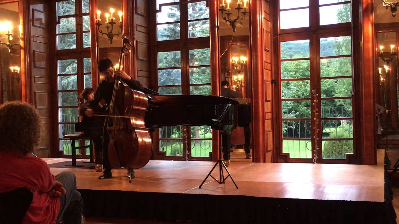 F.Schubert-arpeggione sonata 1 mov