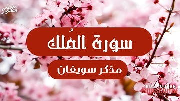 تلاوه هادئه ووميزه من سورة الملك | مذكر سويفان